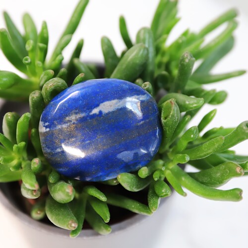 Blue Lapis Lazuli Polished Palm Stone
