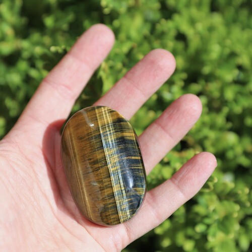 Tigers Eye Polished Palm Stone
