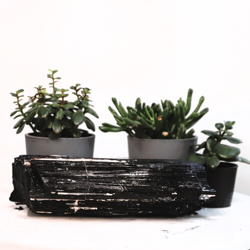 Black Tourmaline Natural Free Form