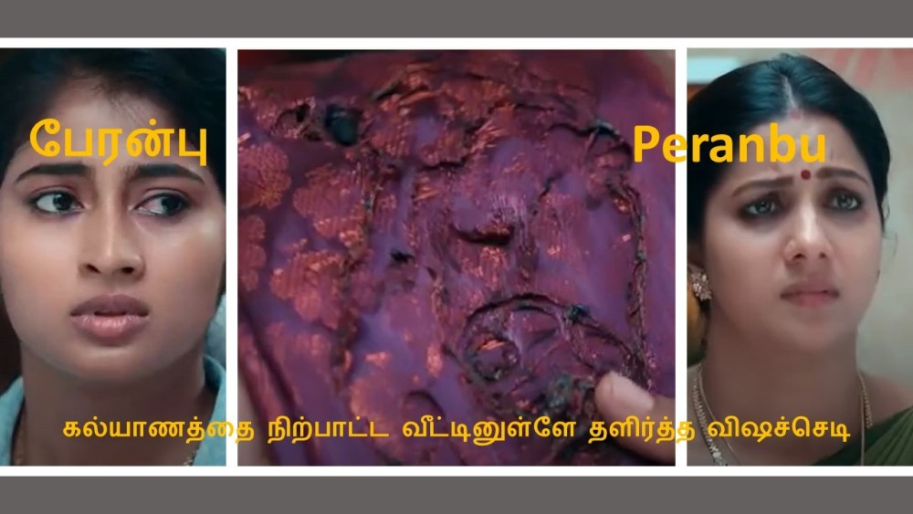 Peranbu | பேரன்பு | August 18, 2023 | Tamil Serial Reviews | கல்யாணத்தை நிற்பாட்ட வீட்டினுள்ளே தளிர்த்த விஷச்செடி