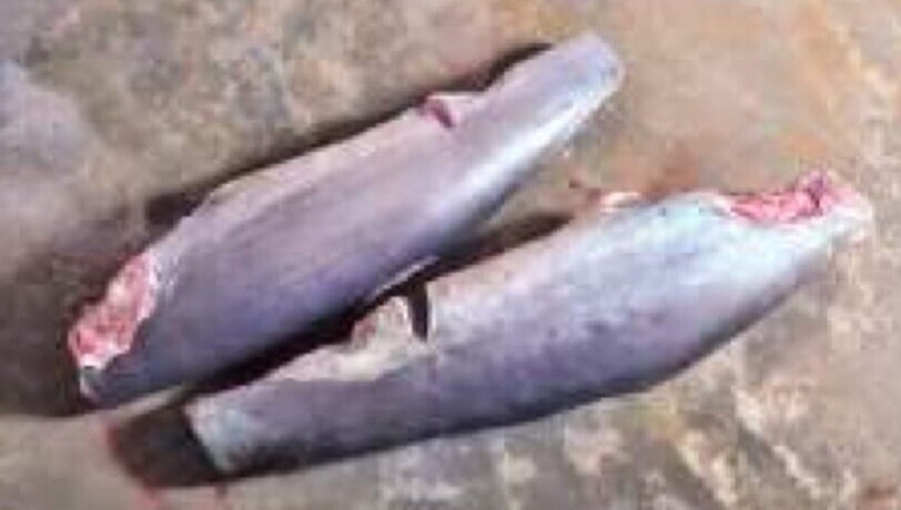 பலவகைச் செய்தித் துணுக்குகள்