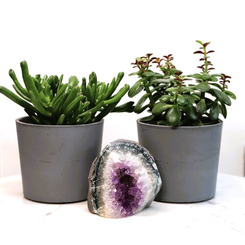 Amethyst Free Standing Geode