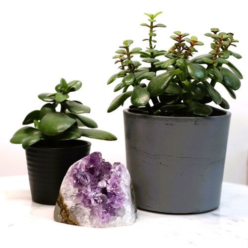 Amethyst Geode Crystal