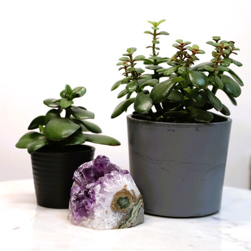 Amethyst Geode Crystal