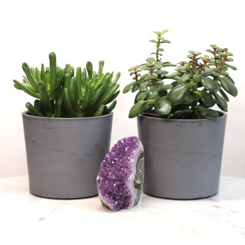 Amethyst Geode Crystal