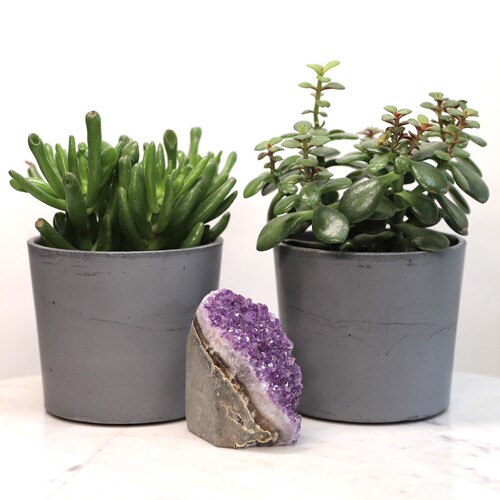 Amethyst Geode Crystal