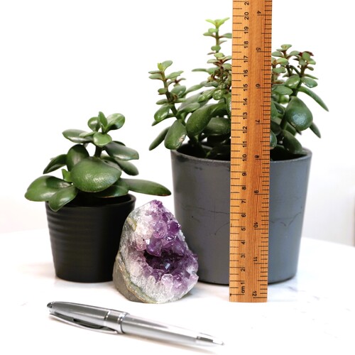 Amethyst Geode Crystal