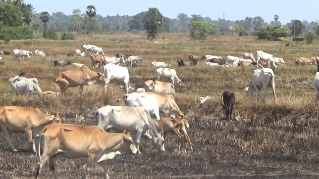 குடிதண்ணீரின்றி தவிக்கும் அவலம்