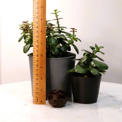 Almandine Garnet Crystal Free Form