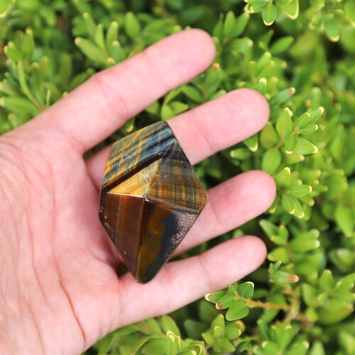 Tigers Eye Palm Stone Faceted sides.