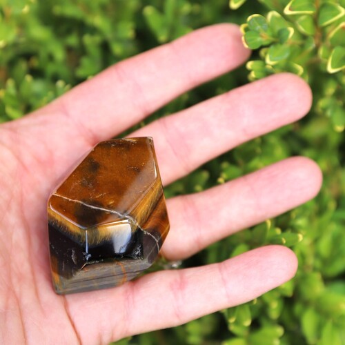 Tigers Eye Palm Stone Faceted sides.