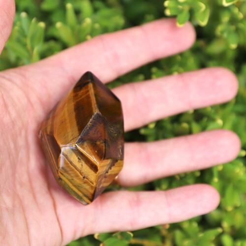 Tigers Eye Palm Stone Faceted sides.