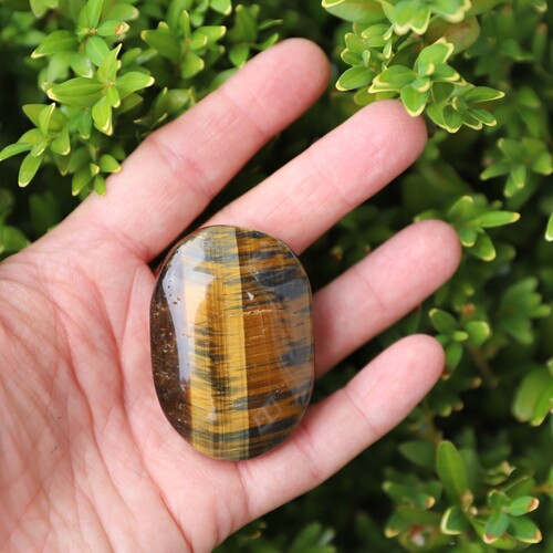 Tigers Eye Polished Palm Stone