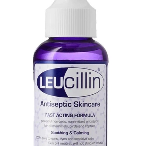 Leucillin