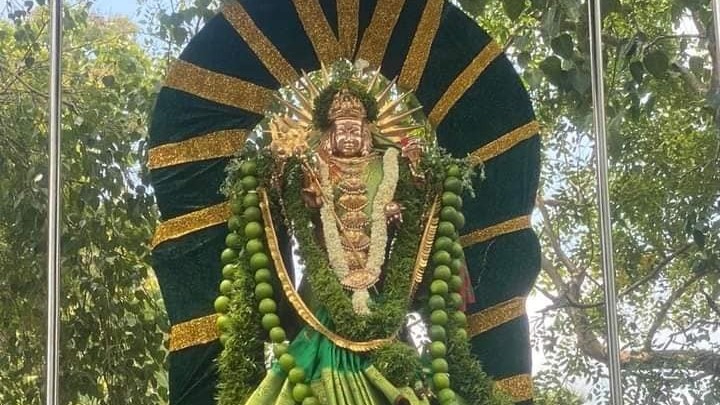 தேரில் எழுந்தருளி அருள்பாலித்த தெல்லிப்பழை துர்க்கை அம்மன்!