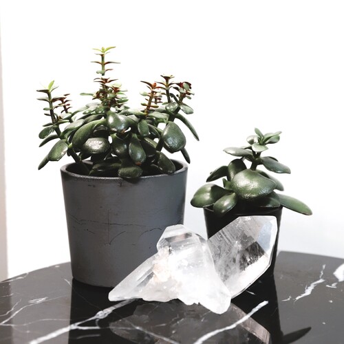 Lemurian Quartz Cluster