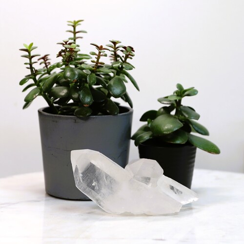 Lemurian Quartz Cluster