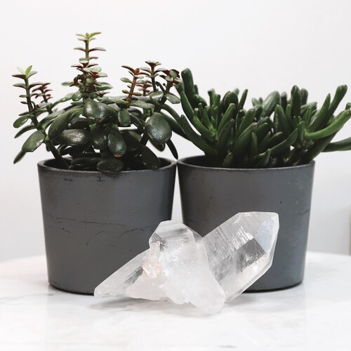 Lemurian Quartz Cluster