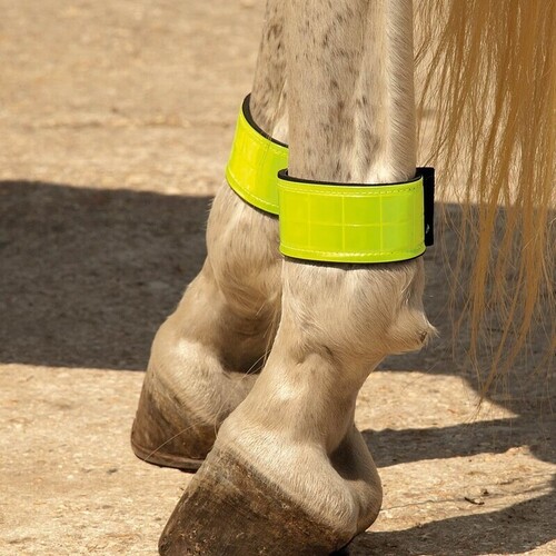 Reflective Leg Bands