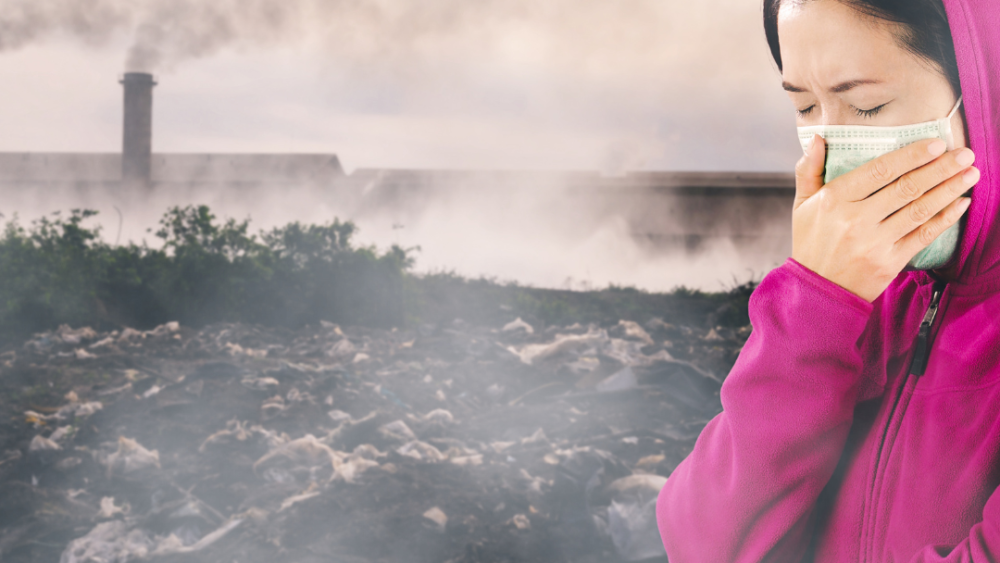 Safeguarding Immunity in a Changing World: Navigating Environmental Factors