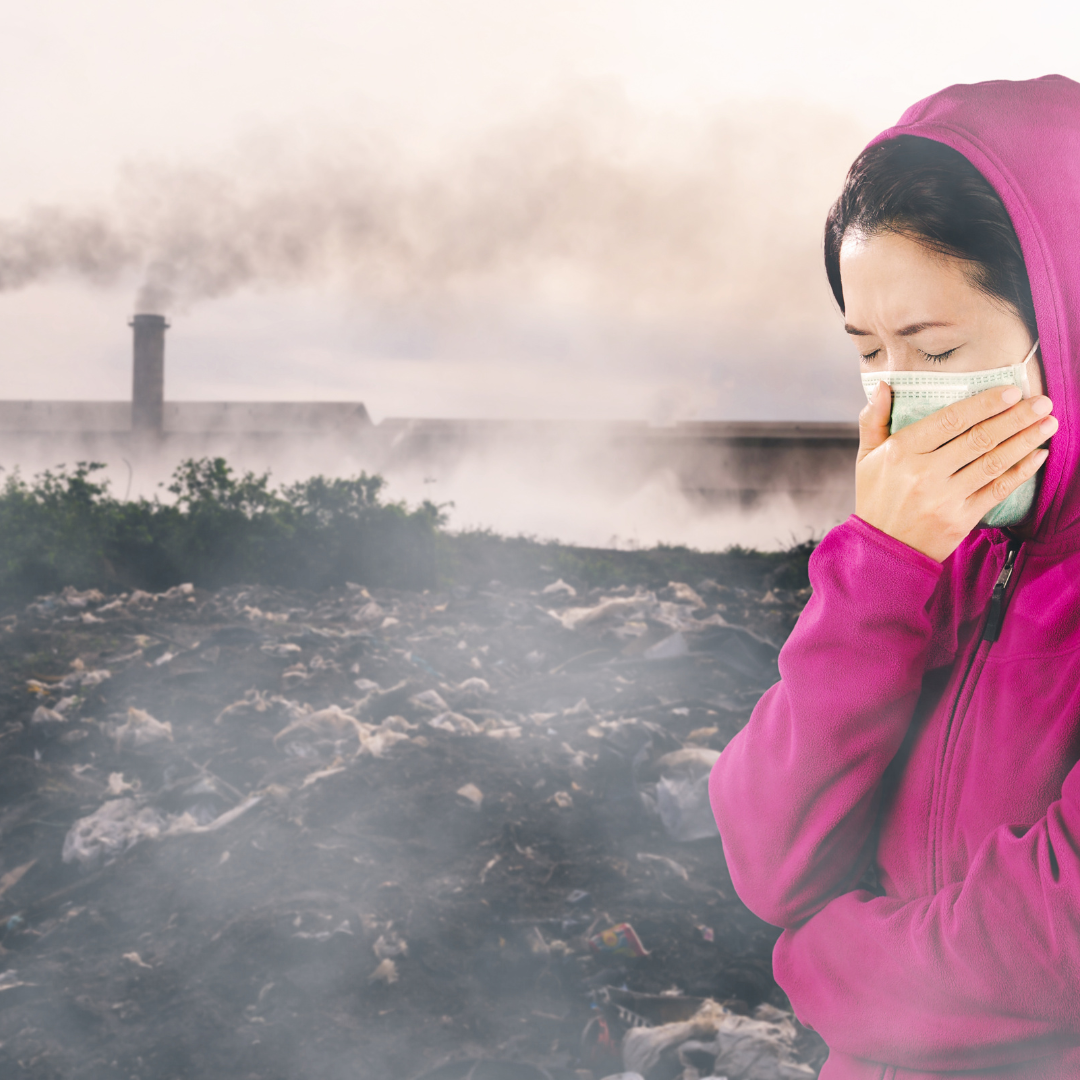 Safeguarding Immunity in a Changing World: Navigating Environmental Factors