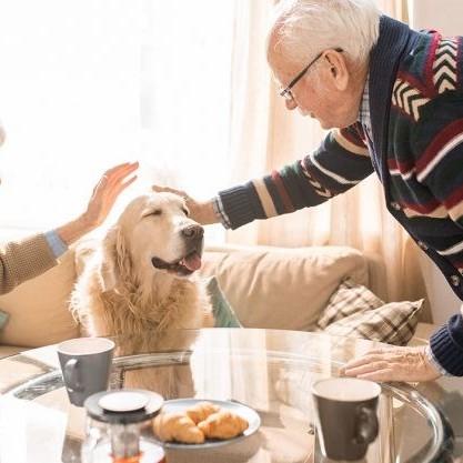 Caring for a pet in later life