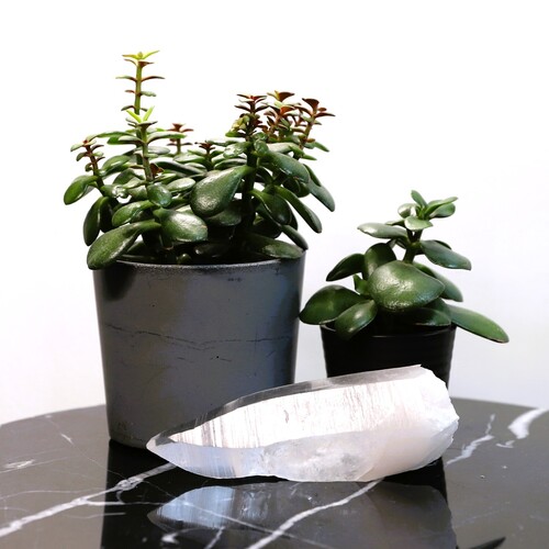 Lemurian Quartz Point