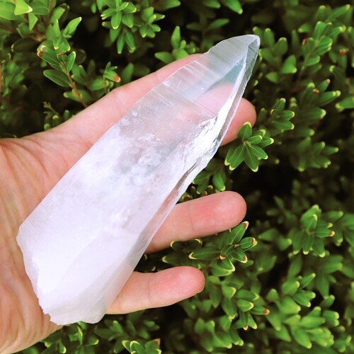 Lemurian Quartz Point