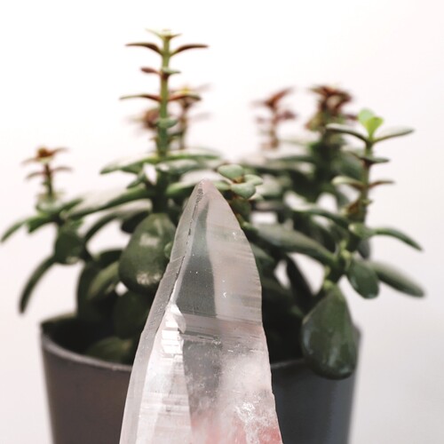 Lemurian Quartz Point