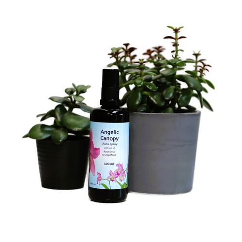 Angelic Canopy Aura Spray 100ml
