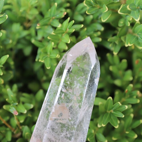 Lemurian Quartz Polished Point
