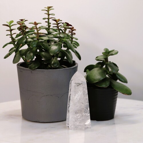 Lemurian Quartz Polished Point