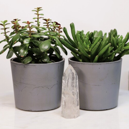 Lemurian Quartz Polished Point