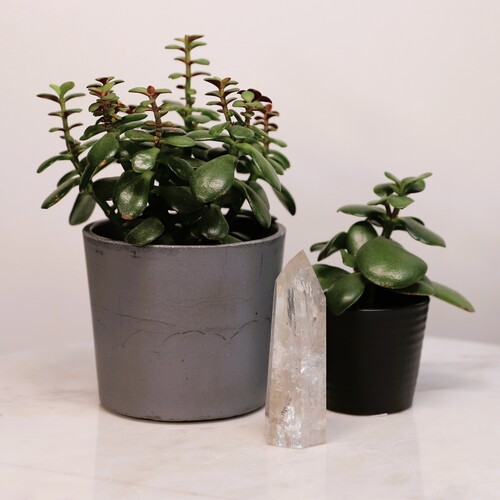 Lemurian Quartz Polished Point