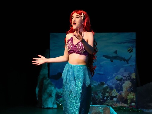 The Little Mermaid