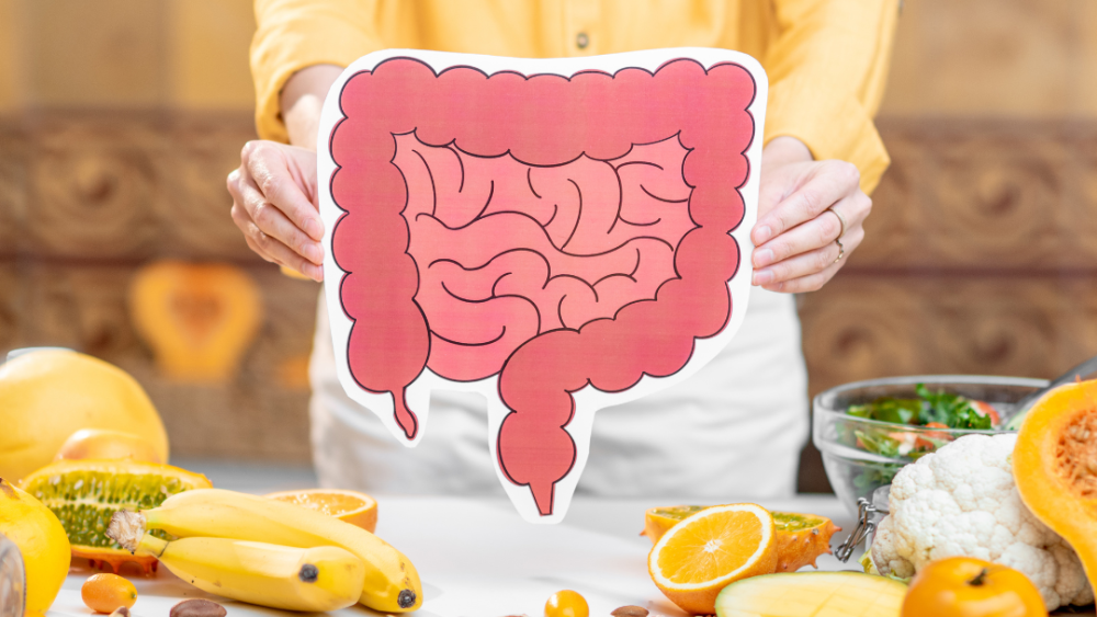 The Gut-Immune Connection: How Your Gut Health Affects Your Immune System