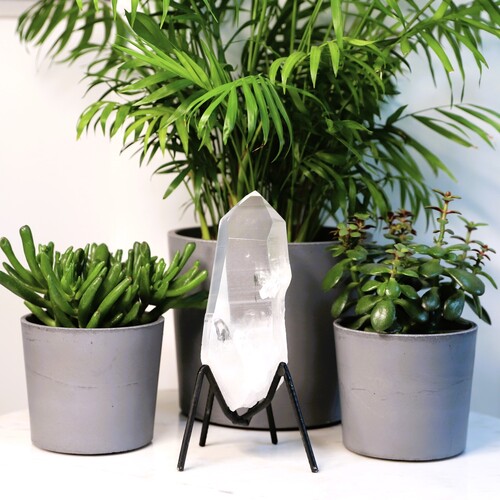 Lemurian Quartz Point