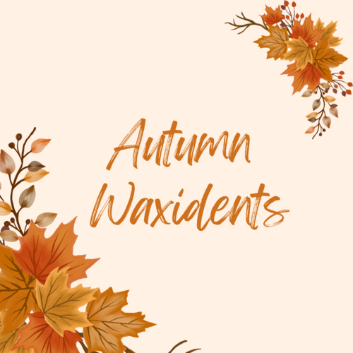 Roasted Chestnut Waxident