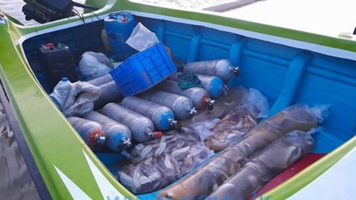 இரவு நேரத்தில் கடல் அட்டைகளை பிடித்த மூவர் கைது 