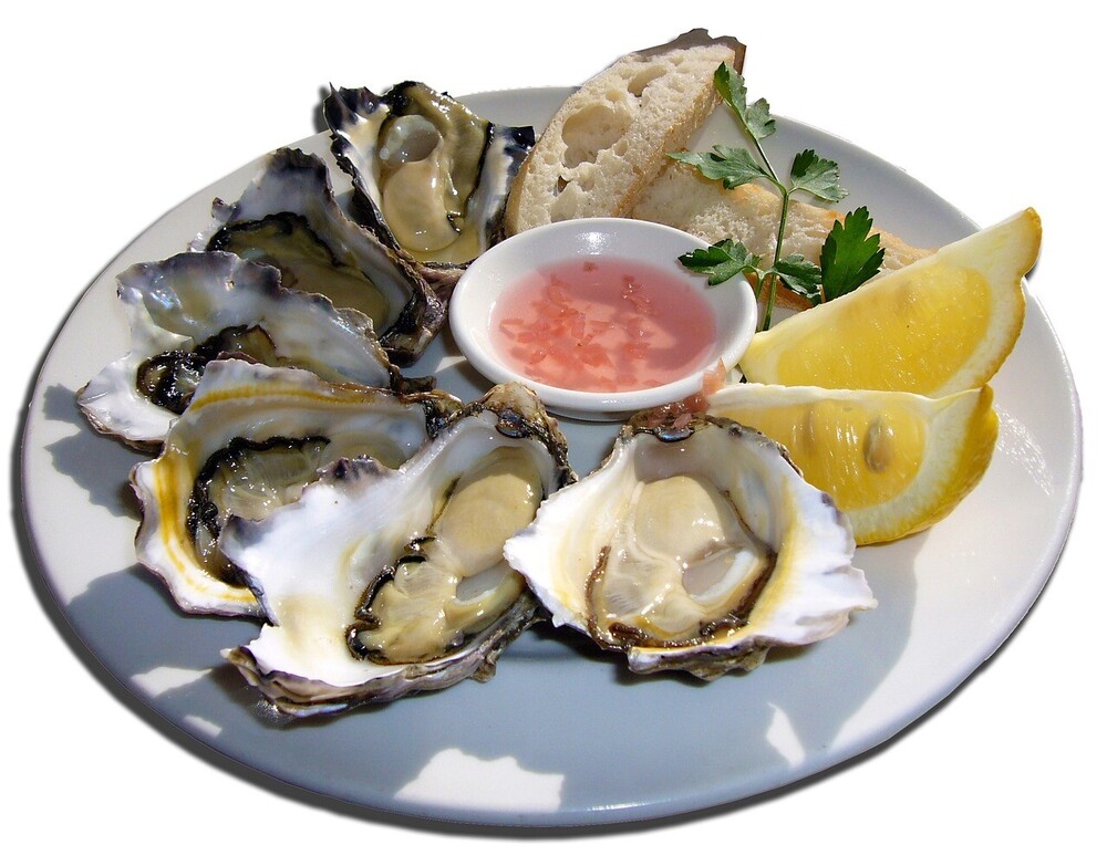 Oysters on a plate