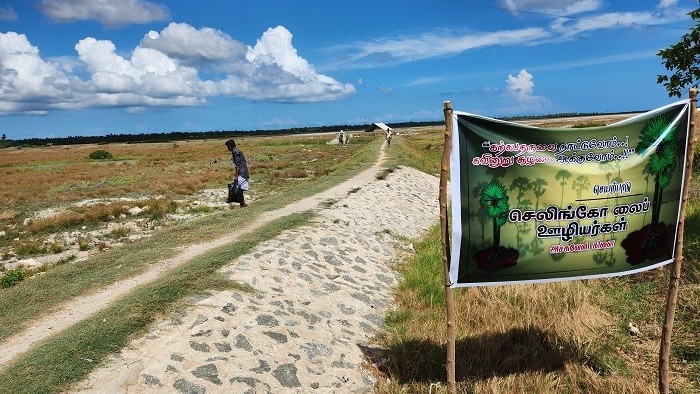 பனம் விதைகள் நாட்டும் செயற்திட்டம்