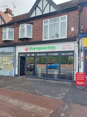 Window Film Image Gallery
