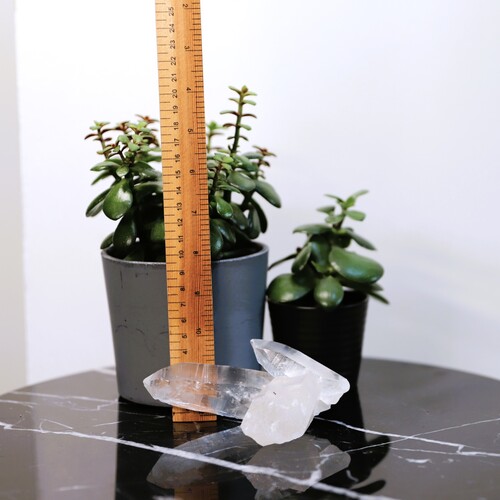 Lemurian Quartz Cluster