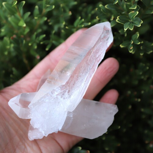 Lemurian Quartz Cluster