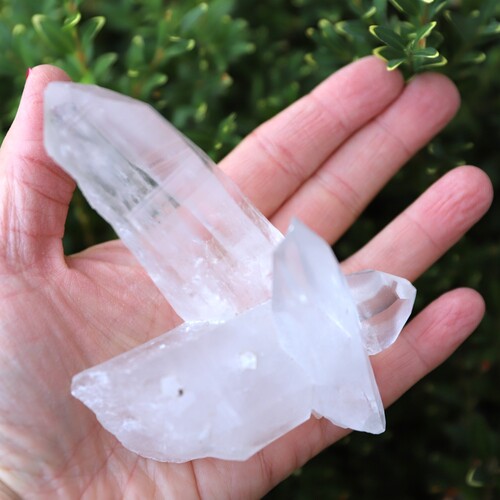 Lemurian Quartz Cluster