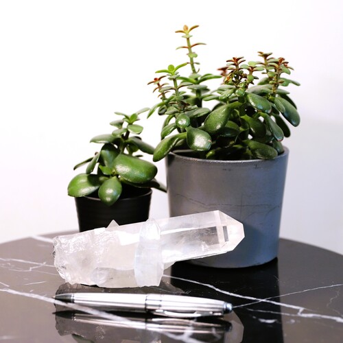 Lemurian Quartz Cluster