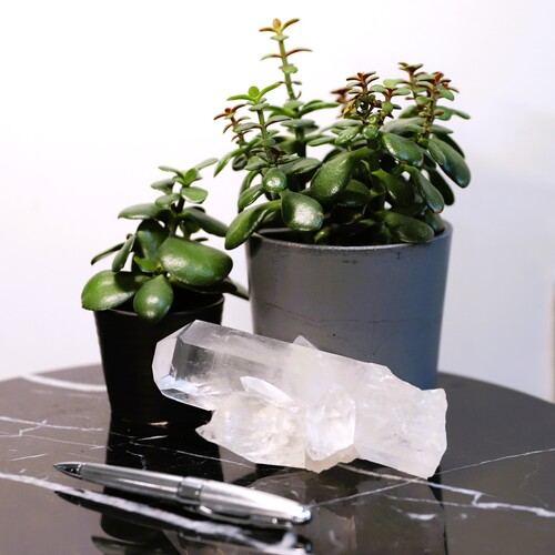 Lemurian Quartz Cluster