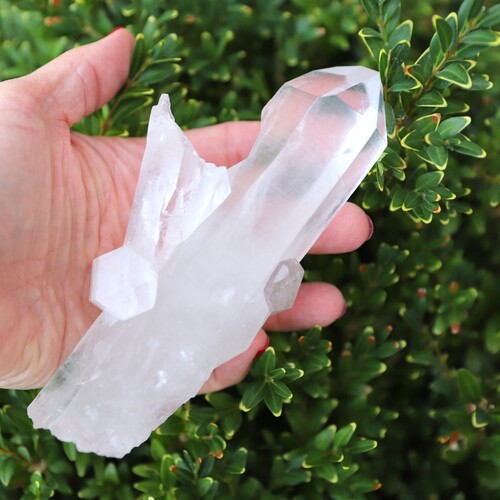 Lemurian Quartz Cluster