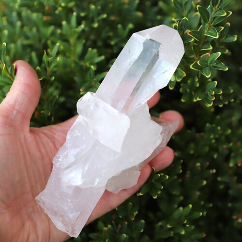 Lemurian Quartz Cluster