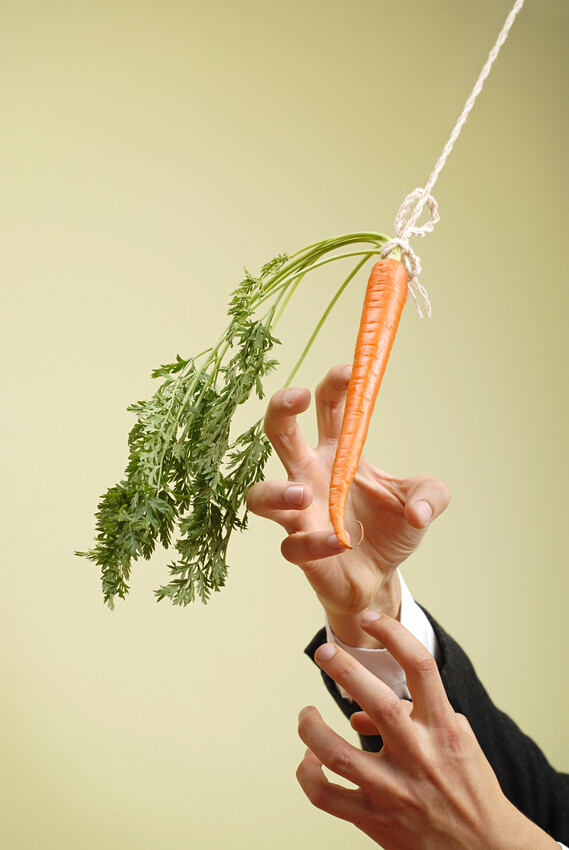 Beware of THESE Timeshare Exit Companies in 2023.